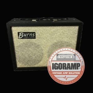 Burns Sonic 20 Combo 1964